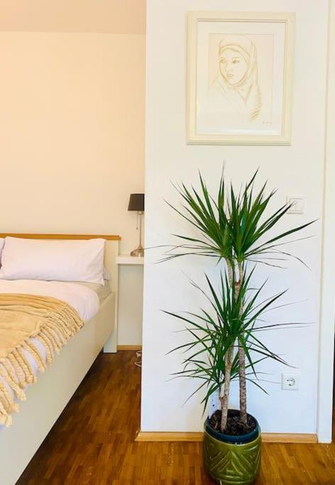 Nice And Calm Apartment In Duesseldorf ภายนอก รูปภาพ